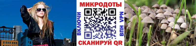 купить наркоту  Вилюйск  Галлюциногенные грибы прущие грибы 